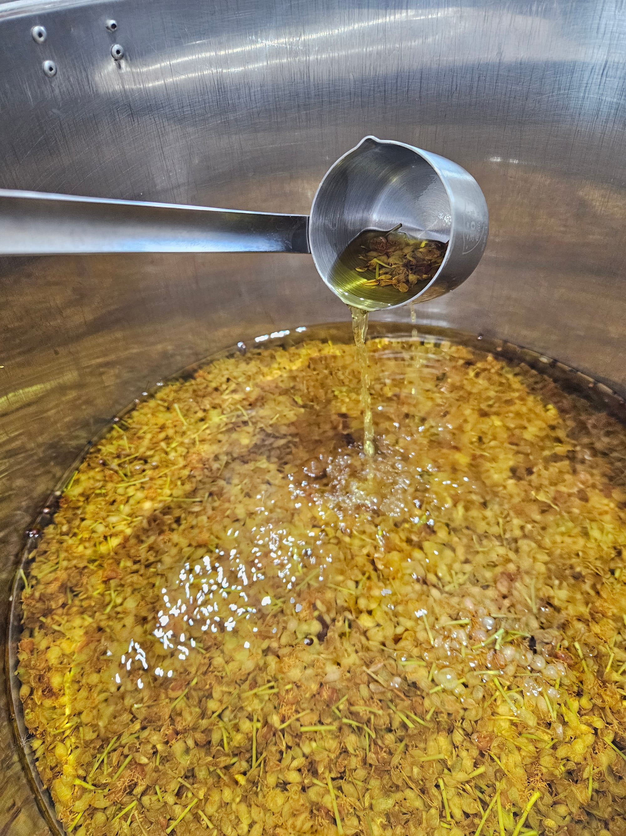 Solvent being poured over fresh Saraphi petals in stainless steel vat during traditional extraction process at LOSIAM lab in Chiang Mai, Thailand
