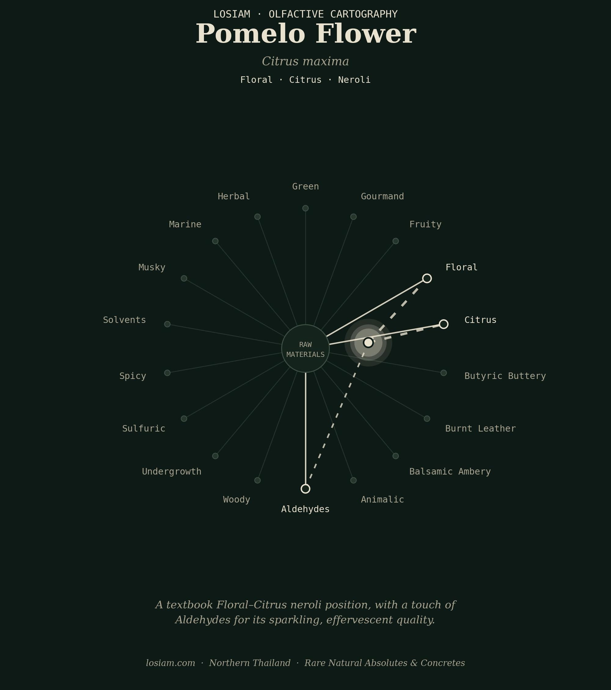 LOSiam olfactive cartography of Pomelo Flower absolute: floral, citrus and aldehydic facets