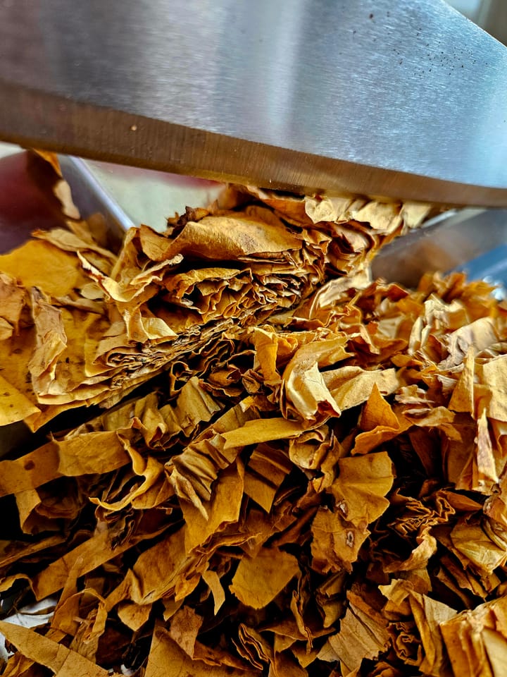 From Chiang Mai’s Golden Fields: Unveiling the Allure of LOSiam’s Tobacco Absolute