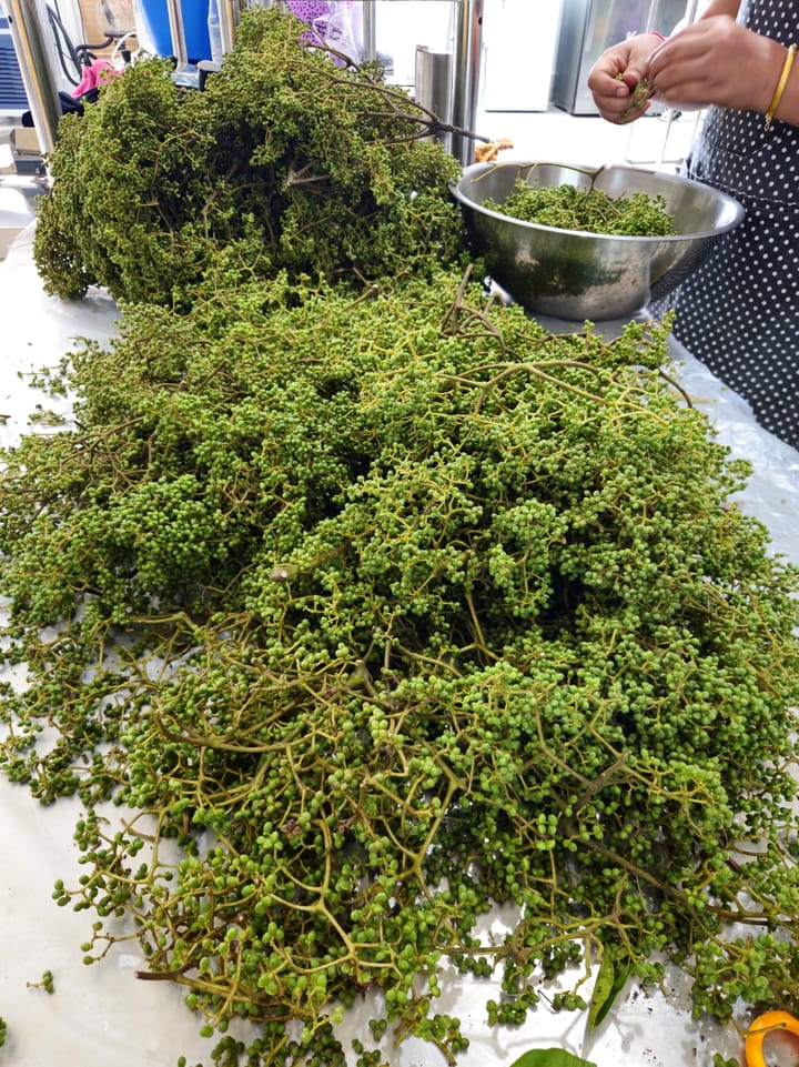 Fresh Jungle Pepper vs. Sichuan Pepper: Why Z. rhetsa Wins for Sustainable Perfumery.