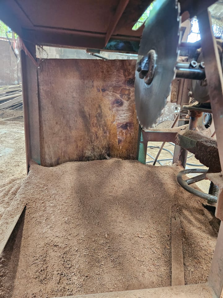 Old Teak Sawdust Absolute — Tectona grandis