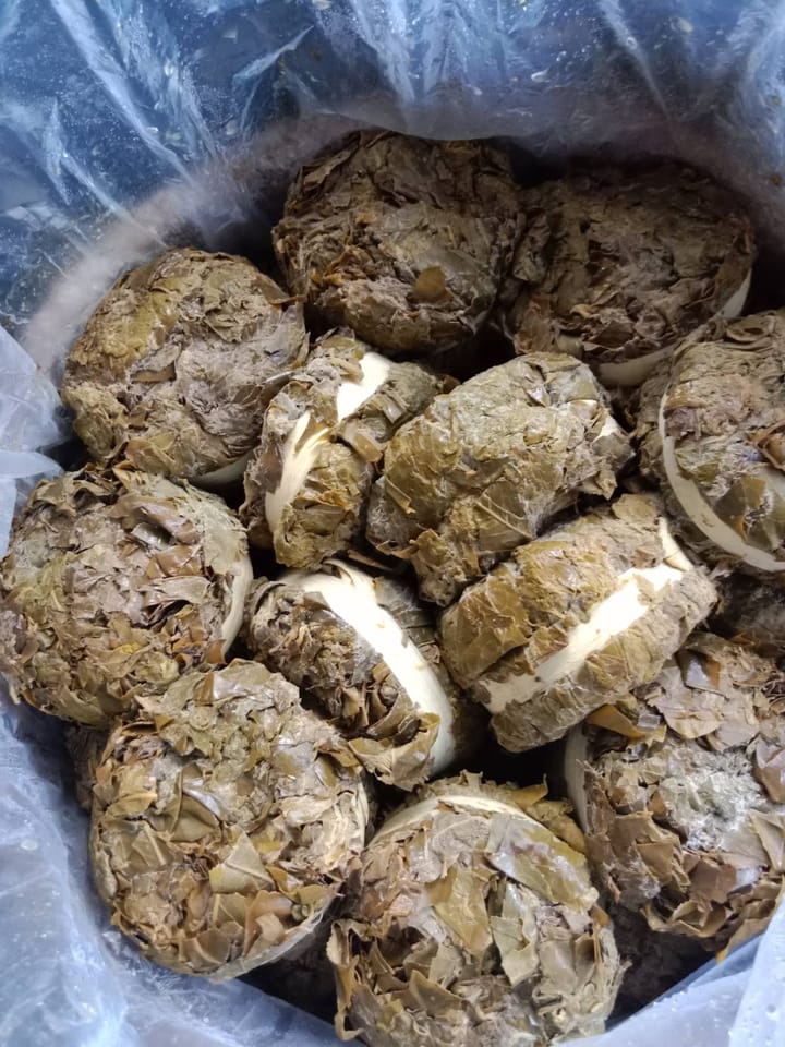 Miang: The Scent Lanna Kept in Reserve